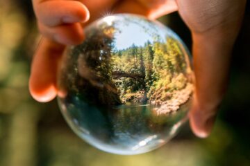 Meio Ambiente e sustentabilidade