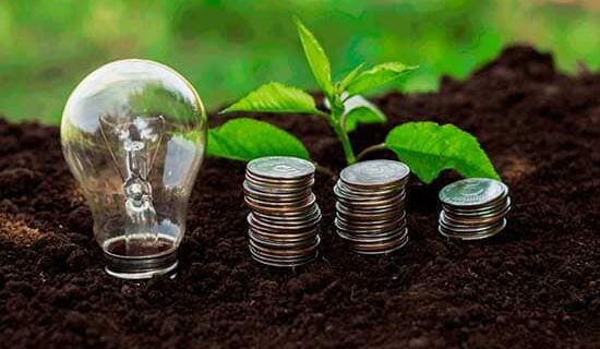 Sustentabilidade organizacional socioambiental moedas e plantas