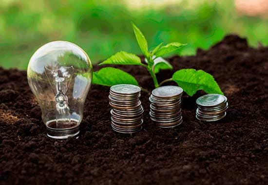 Sustentabilidade organizacional socioambiental moedas e plantas
