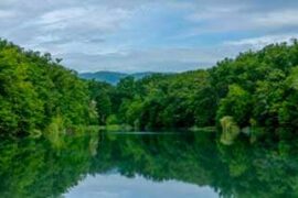Sustentabilidade serviços dos ecossistemas